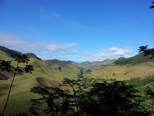 山附近的植物 · 免费素材图片