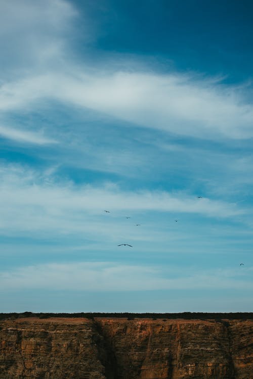 有关birds_flying, 天然岩层, 悬崖的免费素材图片