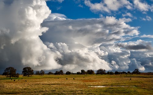 多云的天空下的棕色草田 · 免费素材图片