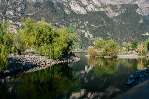 有关冷静, 场景, 增长的免费素材图片