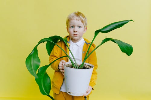 小男孩穿着夹克拿着白花盆 · 免费素材图片