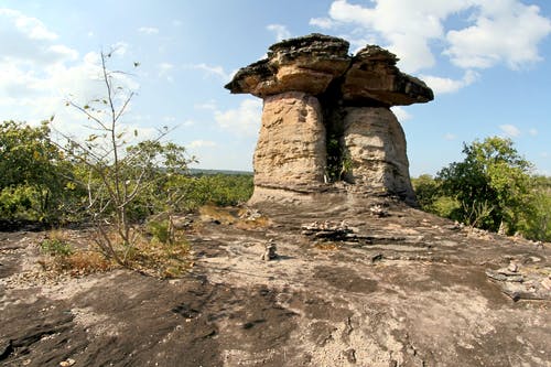 有关rockyscape, 分支机构, 天性的免费素材图片