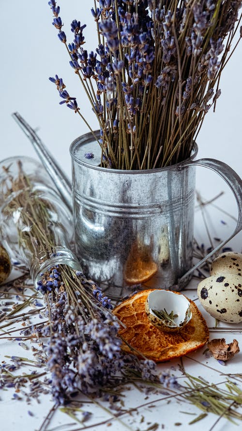 有关垂直视频, 干果, 手机桌面的免费素材图片