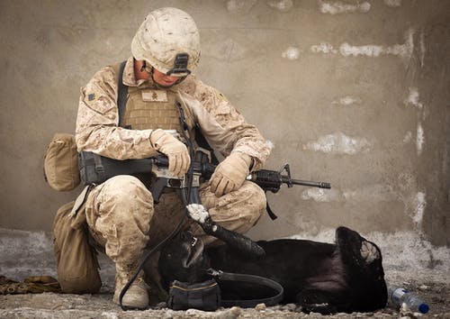 士兵和黑狗一起玩时坐在岩石上 · 免费素材图片