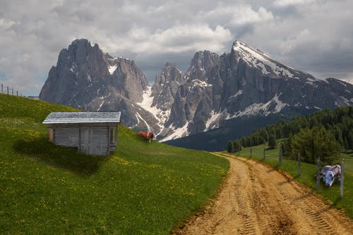 牛和布朗路遥远的雪山 · 免费素材图片