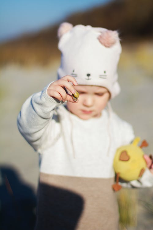 有关波羅的海的免费素材图片