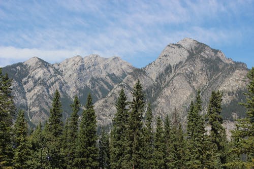 灰色的山附近绿叶树木 · 免费素材图片