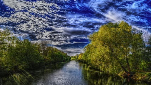树木环绕的河 · 免费素材图片