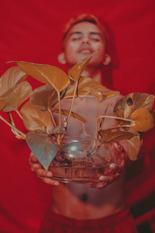 有关个性, 人, 个性的免费素材图片