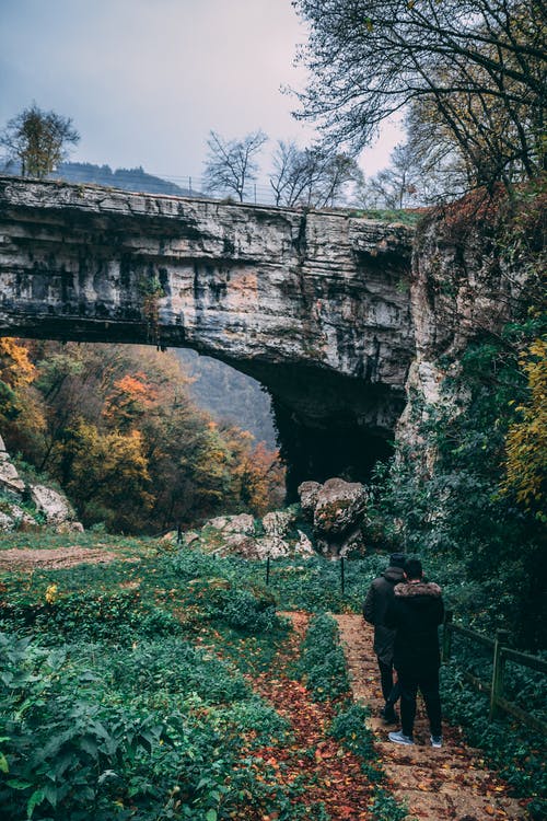 两人在森林上行走 · 免费素材图片