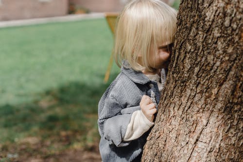 倚在棕色树上的灰色毛衣的女孩 · 免费素材图片