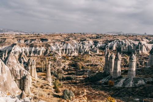 有关不变, 不均匀的, 乾的的免费素材图片