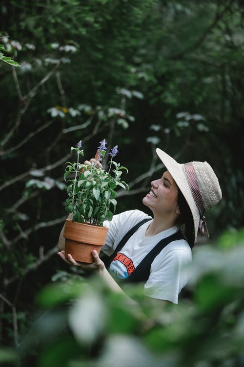 白色太阳帽和持有绿色植物的白色长袖衬衫的女人 · 免费素材图片