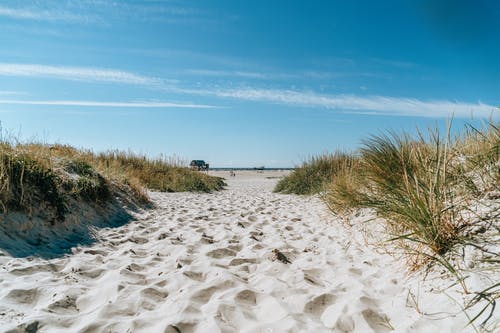 有关Copyspace, 冷静, 和平的免费素材图片