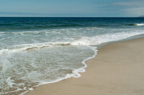 有关天性, 岸边, 海的免费素材图片