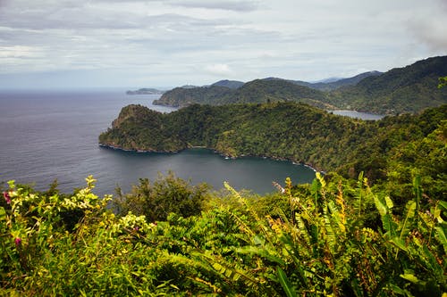 有关丘陵, 加勒比海, 厚的免费素材图片