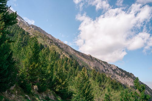 有关保加利亚山, 保加利亚, 天性的免费素材图片