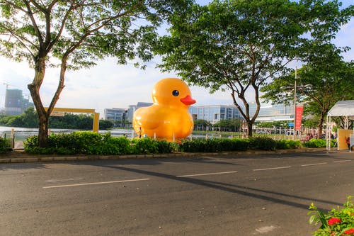在公园的水体上的巨型黄色橡皮鸭 · 免费素材图片