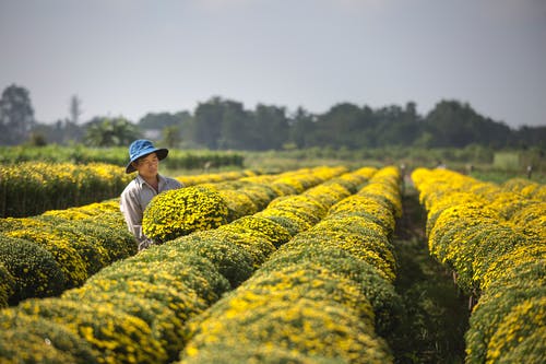 在绿草如茵的球场上的人 · 免费素材图片