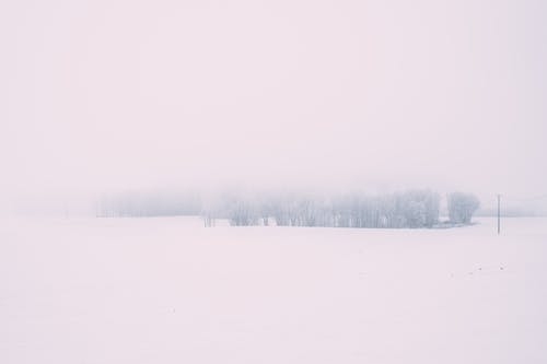 有关下雪的, 冬季, 冷的免费素材图片