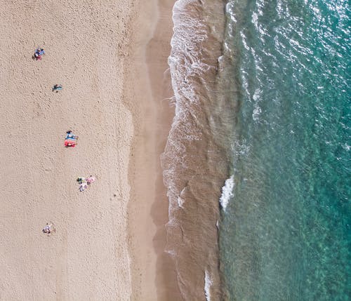 有关招手, 日光浴, 水的免费素材图片