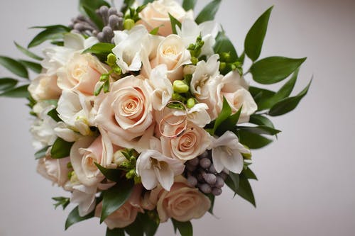 带着玫瑰和白色背景上的绿色植物的鲜花花束 · 免费素材图片