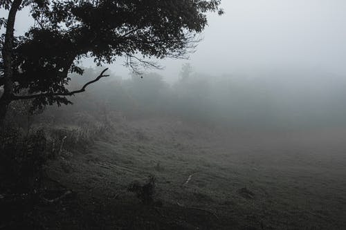 有关冷静, 土地, 地平线的免费素材图片