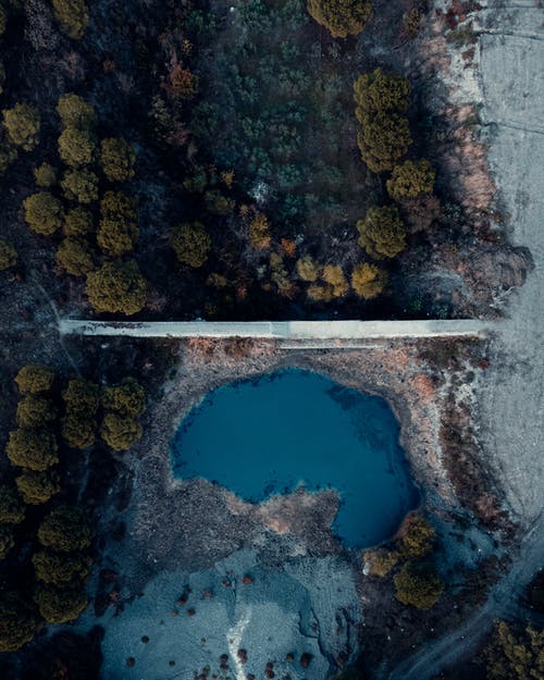 有关分离, 坝, 森林的免费素材图片