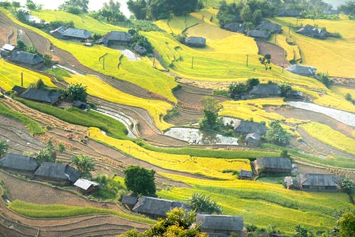 有关丘陵的, 住, 住宅的免费素材图片