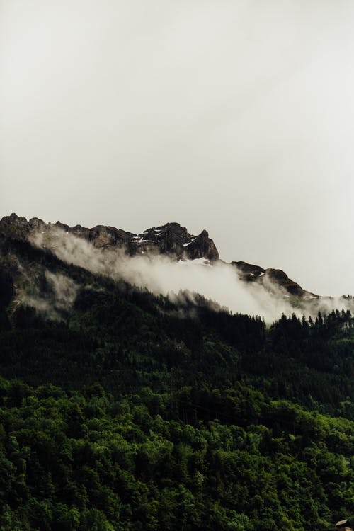 山脊与绿色的森林，在云层中 · 免费素材图片