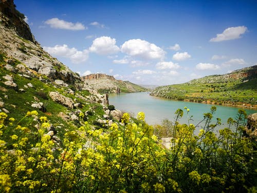 有关不变, 光, 冷静的免费素材图片