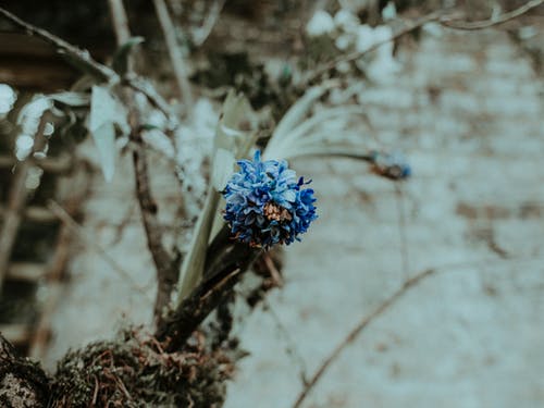 有关优雅, 充满活力, 冷静的免费素材图片