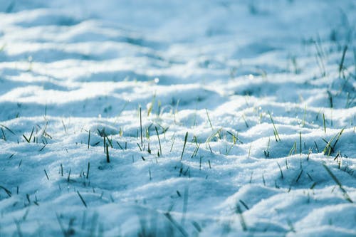 雪的特写照片 · 免费素材图片