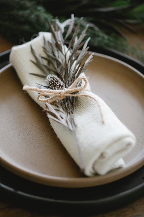 白色和绿色的植物，在白色的陶瓷锅上 · 免费素材图片