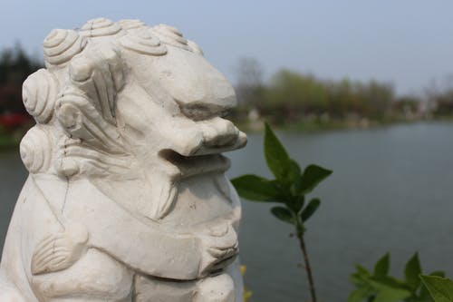 有关元素, 冷静, 动物的免费素材图片