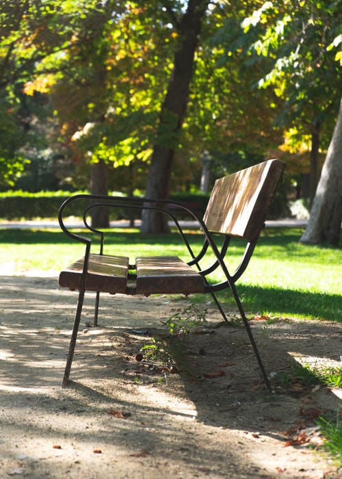 有关公园, 公园长椅, 夏天的免费素材图片
