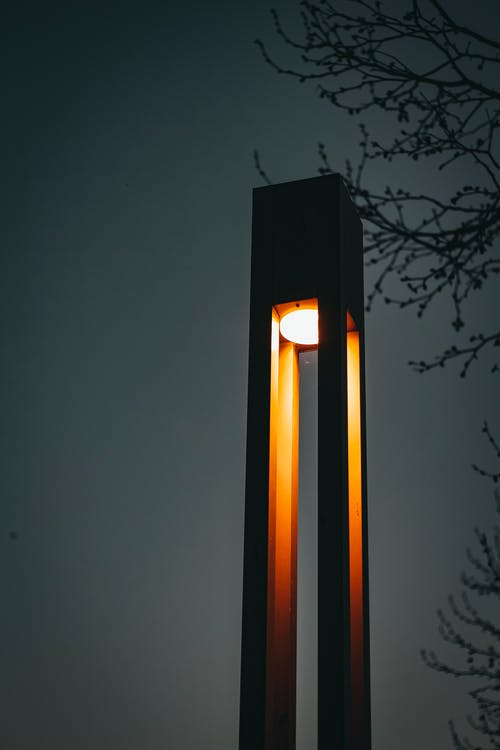 黑灯柱附近树 · 免费素材图片