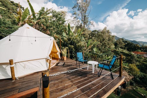 有关场景, 增长, 夏天的免费素材图片