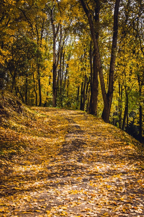 自然景观 · 免费素材图片