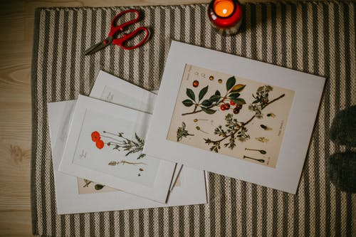 有关不一样, 什锦的, 作文的免费素材图片