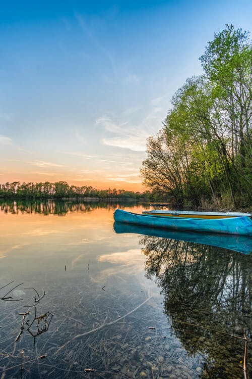 蓝色独木舟在树旁边的水 · 免费素材图片