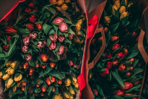 无花什锦花 · 免费素材图片