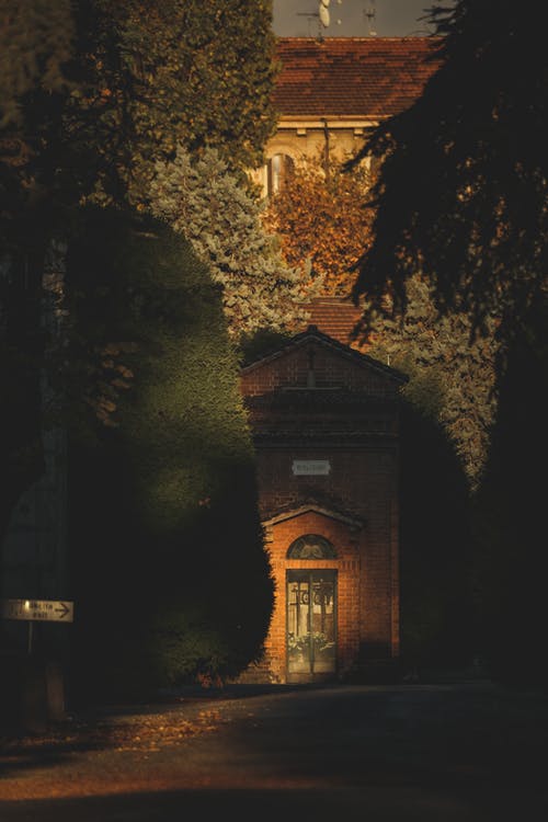 有关19世纪, 大, 建造的免费素材图片