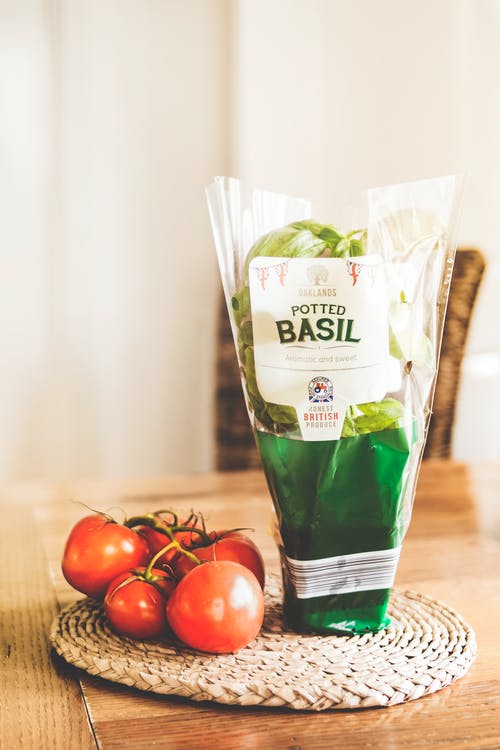 盆栽番茄附近的番茄罗勒盆栽塑料包装 · 免费素材图片