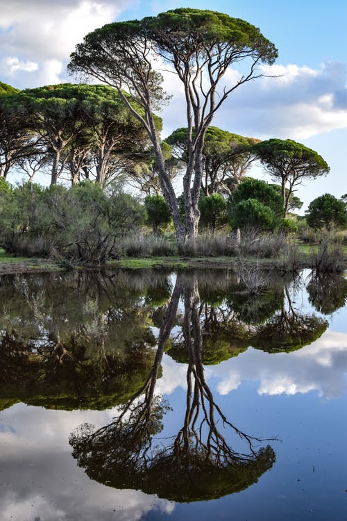 有关冷静, 反射, 和平的的免费素材图片