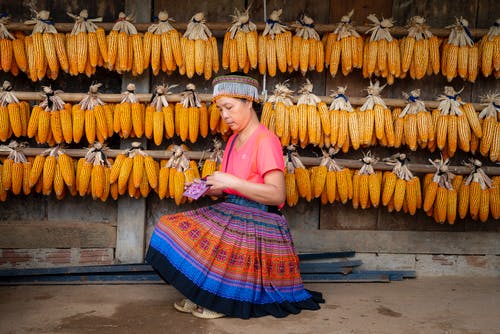 有关乾的, 交换, 休闲的免费素材图片