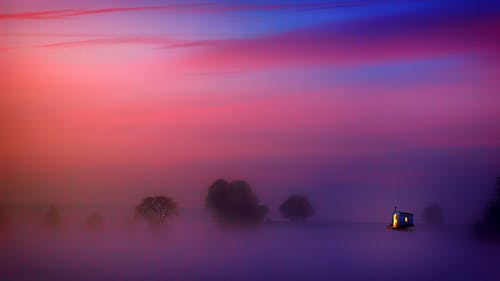 树木覆盖着雾的摄影 · 免费素材图片