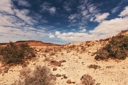 多云的天空下的沙漠领域 · 免费素材图片