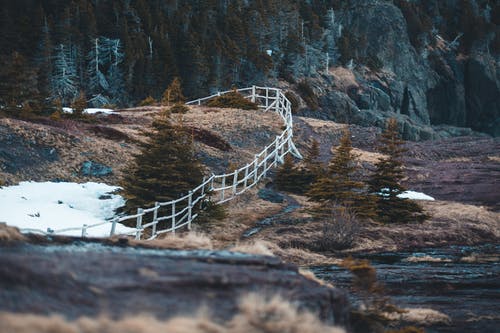 有关冬季, 冷, 和平的的免费素材图片