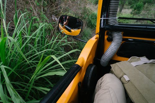 有关不露面, 乘客, 人的免费素材图片